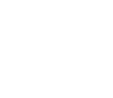 Ames Girls Softball Association